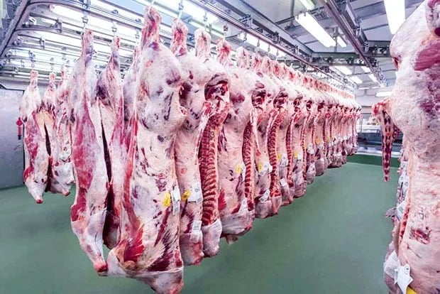 Governo ajusta controles de exportação de carnes para atender exigências contra antimicrobianos da UE