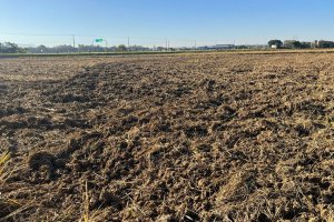 Santa Catarina avança na preparação do solo para receber próxima safra de arroz