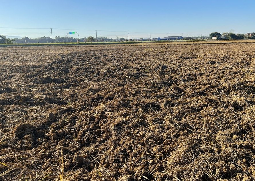 Santa Catarina avança na preparação do solo para receber próxima safra de arroz