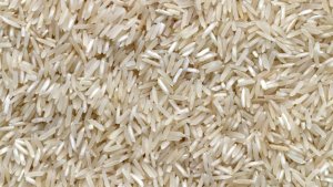 Arroz irrigado: planeje a rotação e reduza riscos no campo
