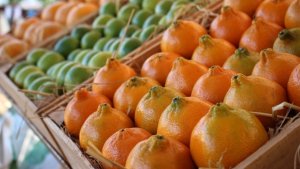 Exportações de suco de laranja batem maior julho em três anos