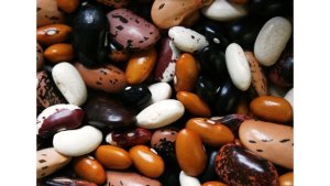 Feijão: 7 cuidados para controlar plantas daninhas sem danos