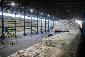 Açúcar recua nas exportações, enquanto etanol avança em agosto; agro soma US$ 15,2 bi