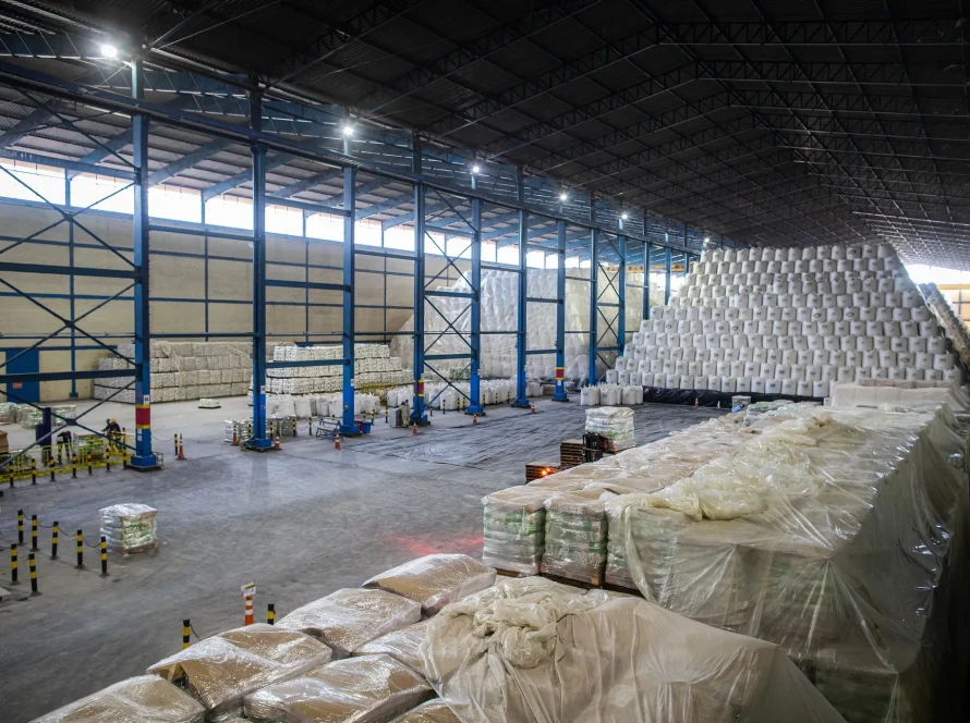 Açúcar recua nas exportações, enquanto etanol avança em agosto; agro soma US$ 15,2 bi