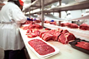 Brasil exporta 79,7 mil toneladas de carne bovina até a segunda semana de setembro