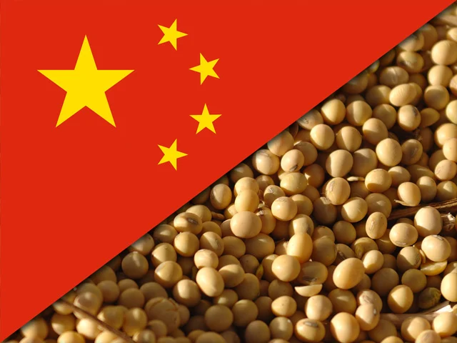 China eleva estimativa de importação de soja por demanda acima do esperado