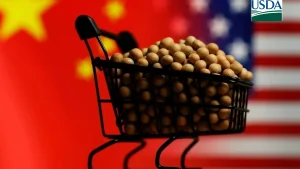China volta a comprar soja dos EUA e anuncia mais 111 mil toneladas antes de encontro Trump-Xi