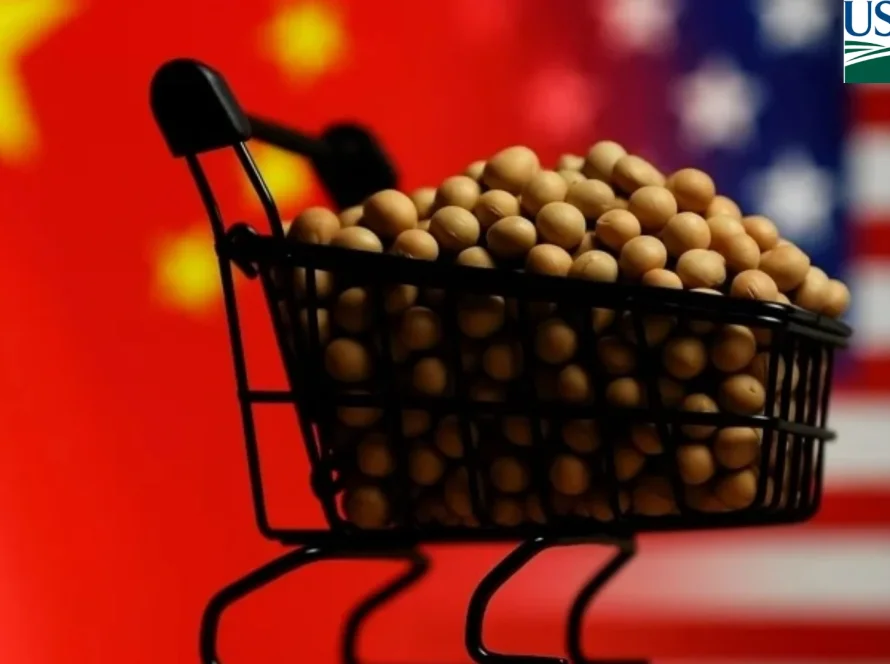 China volta a comprar soja dos EUA e anuncia mais 111 mil toneladas antes de encontro Trump-Xi