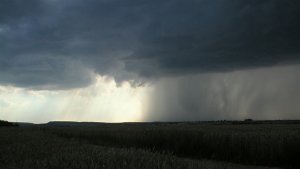 Chuvas irregulares podem atrasar plantio da soja