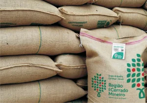 Exportação de café do Brasil salta no início de setembro; embarque de petróleo também dispara