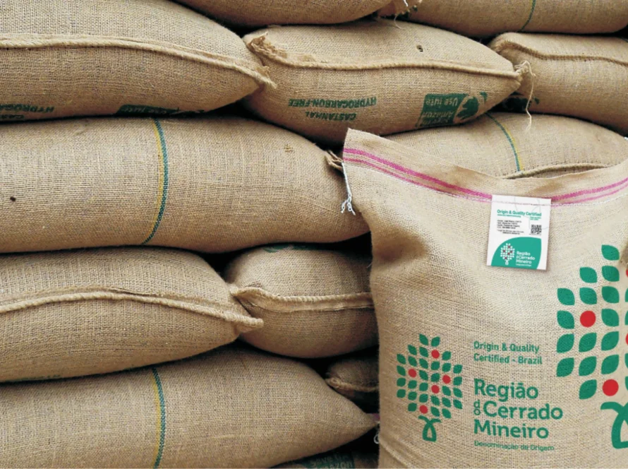Exportação de café do Brasil salta no início de setembro; embarque de petróleo também dispara