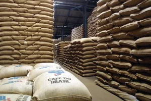 Exportação de café do Brasil tem melhor agosto da história: 4,16 mi/sacas