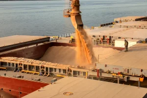 Exportações de soja do Brasil aceleram em setembro e média diária cresce 8,7%