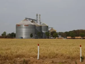 Exportações do Nordeste somam US$ 3 bilhões em agosto, maior valor do ano
