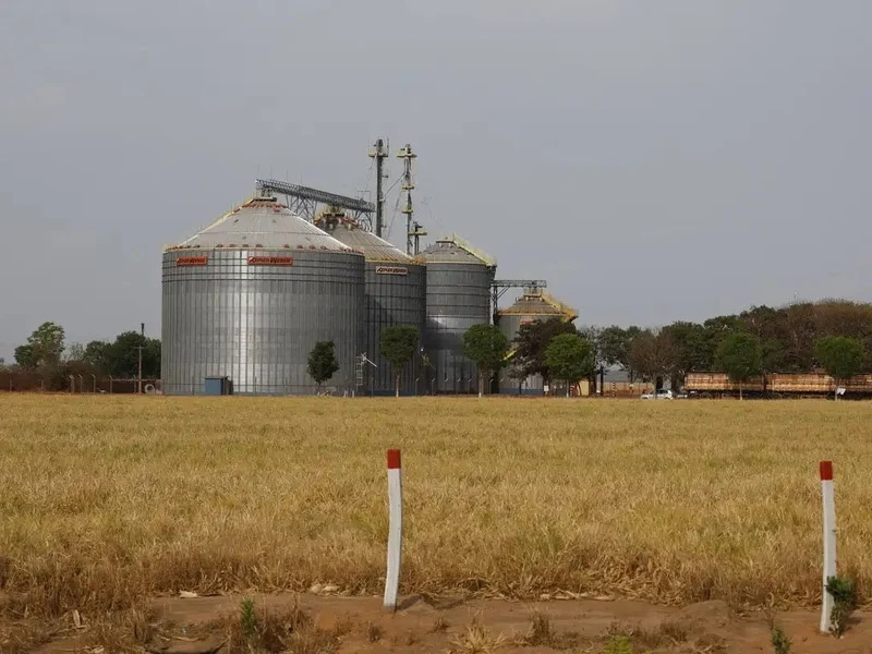 Exportações do Nordeste somam US$ 3 bilhões em agosto, maior valor do ano