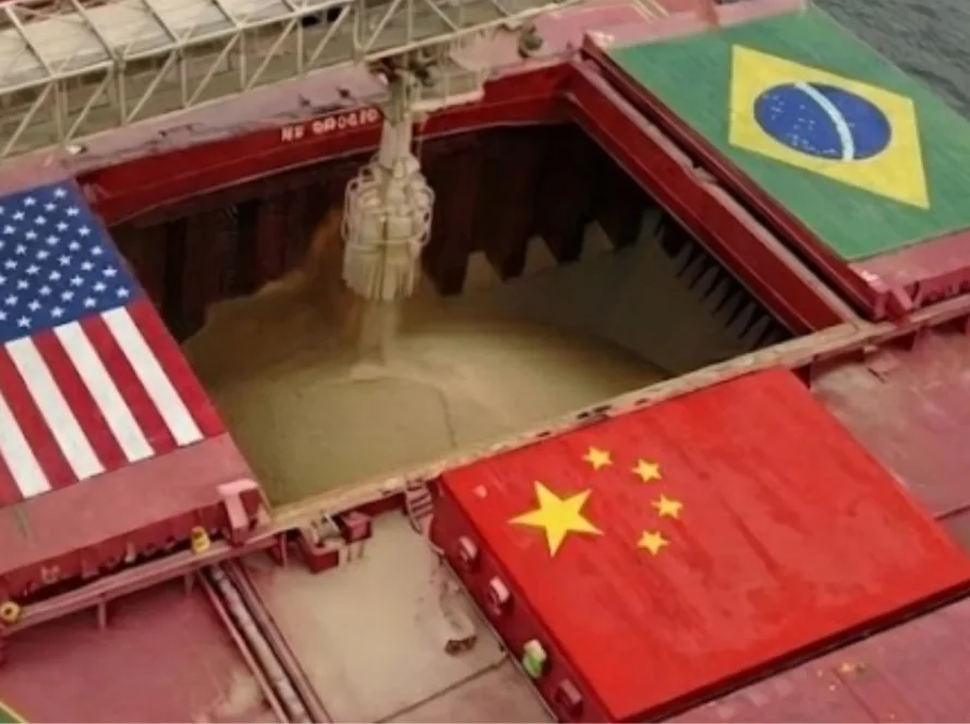 Fraca demanda chinesa por soja diminui perspectivas de importações americanas após a recusa das tarifas