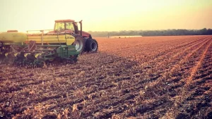Paraná deve acelerar plantio de soja com chuvas em setembro