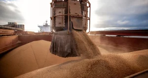 Soja ainda tem negócios acima de R$ 165 nos portos, mas mercado perde ritmo no Brasil