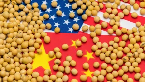 Soja cai em Chicago nesta 4ª (23) às vésperas de Trump-Xi, mas compras da China limitam pressão