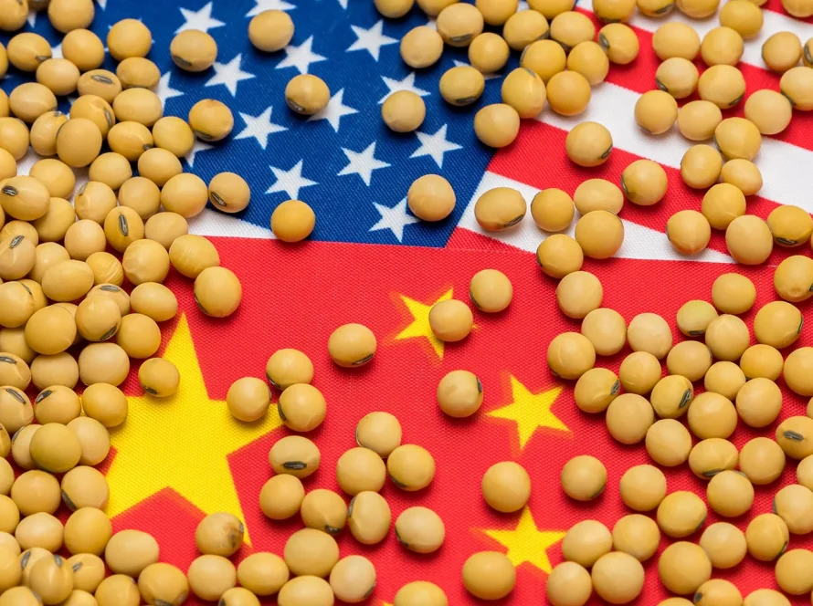 Soja cai em Chicago nesta 4ª (23) às vésperas de Trump-Xi, mas compras da China limitam pressão