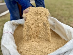 Cargill e Conab lançam programa “Mais Farelo - Soja” para pequenos e médios produtores no DF