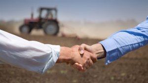 Crédito rural em Goiás cai 42% no início da safra 2026/27