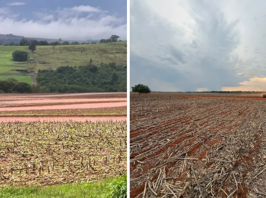 Do excesso à falta de água: plantio da soja 2026/27 avança em ritmos diferentes pelo Brasil