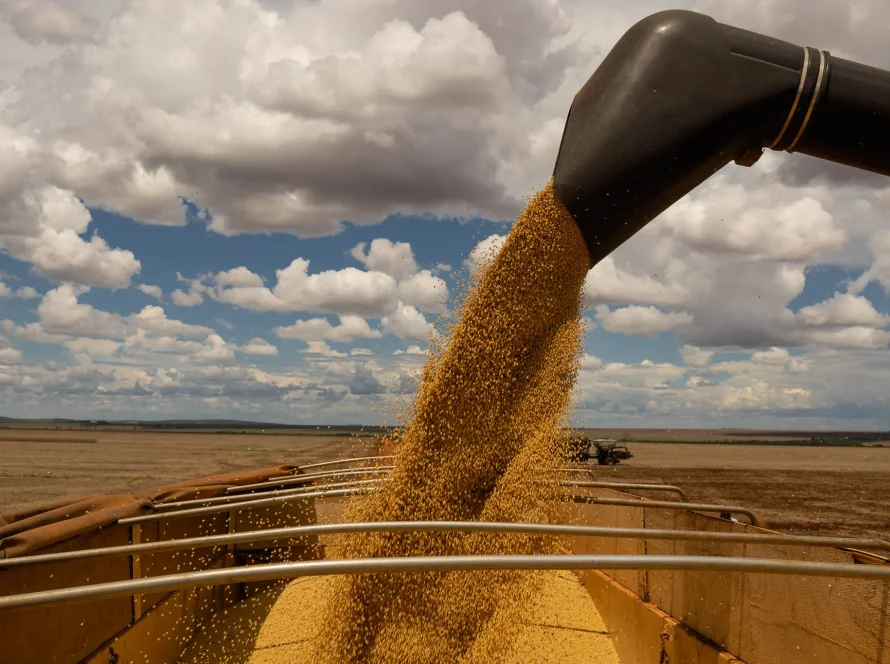 El Niño pode reduzir produção de soja em 9,7% e colocar R$ 33 bilhões em risco, estima Serasa