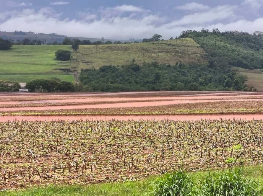 Excesso de chuva atrasa plantio da soja no Paraná