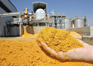 Exportações brasileiras de DDG/DDGS crescem 38,6% em 2026 e China assume liderança entre destinos