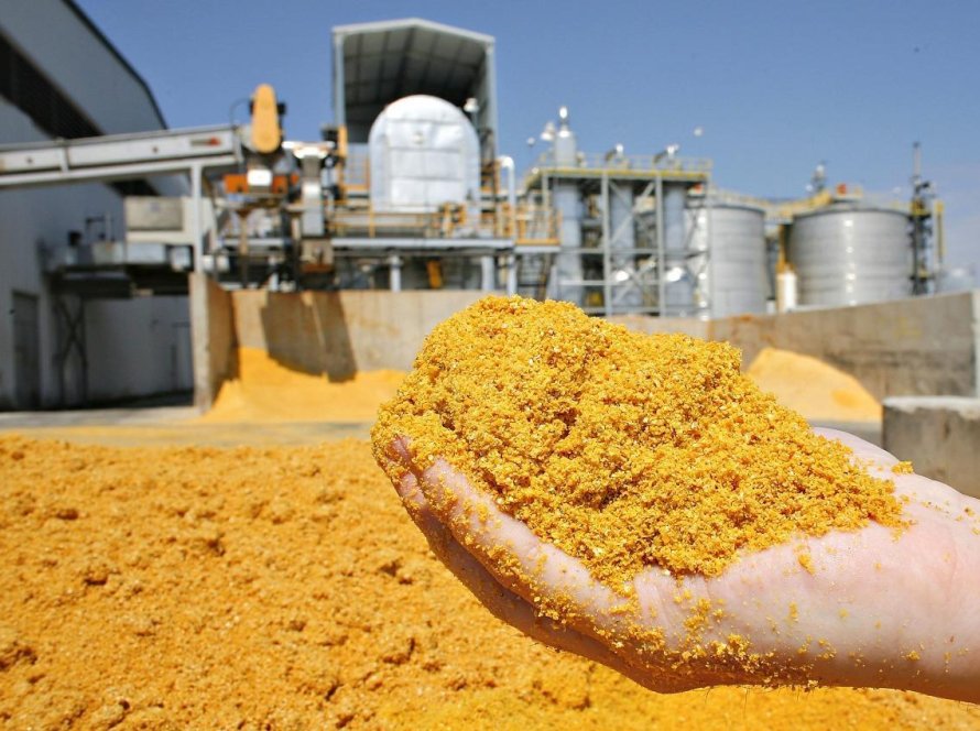 Exportações brasileiras de DDG/DDGS crescem 38,6% em 2026 e China assume liderança entre destinos