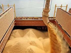 Exportações de farelo de soja reagem em outubro e voltam a superar ritmo de 2025