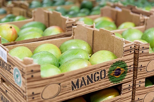 Exportações de frutas fecham setembro com volume 10% menor, mas receita cresce com preços mais altos