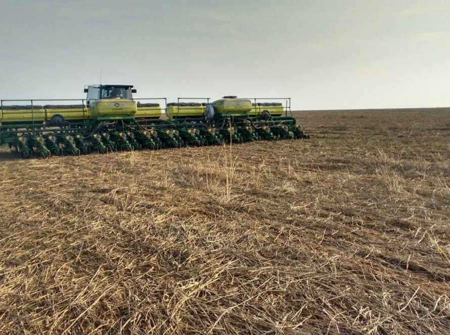 Plantio da soja chega a 42,8% e segue acima da média histórica; MT supera 75%