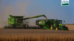 USDA: Colheita da soja salta para 46% nos EUA, mas ainda fica abaixo da média; milho chega a 33%