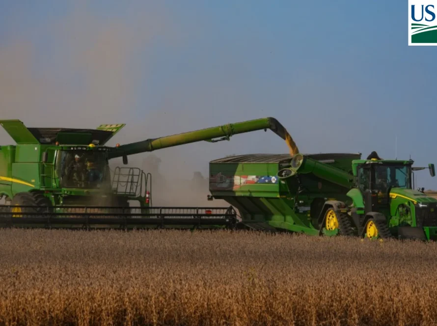 USDA: Colheita da soja salta para 46% nos EUA, mas ainda fica abaixo da média; milho chega a 33%