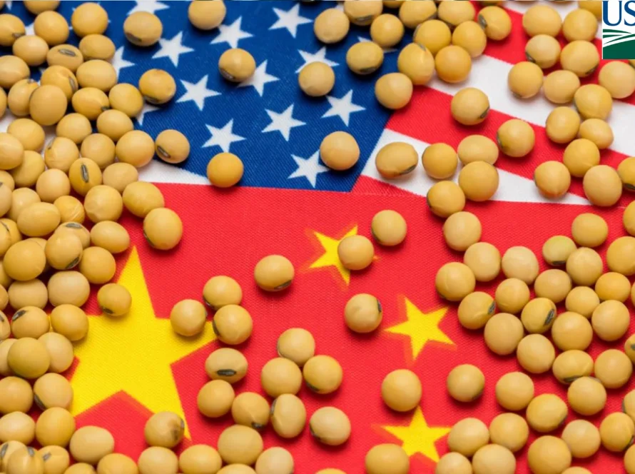USDA anuncia mais 330 mil t de soja dos EUA para China; negócios em dois dias chegam a 800 mil t