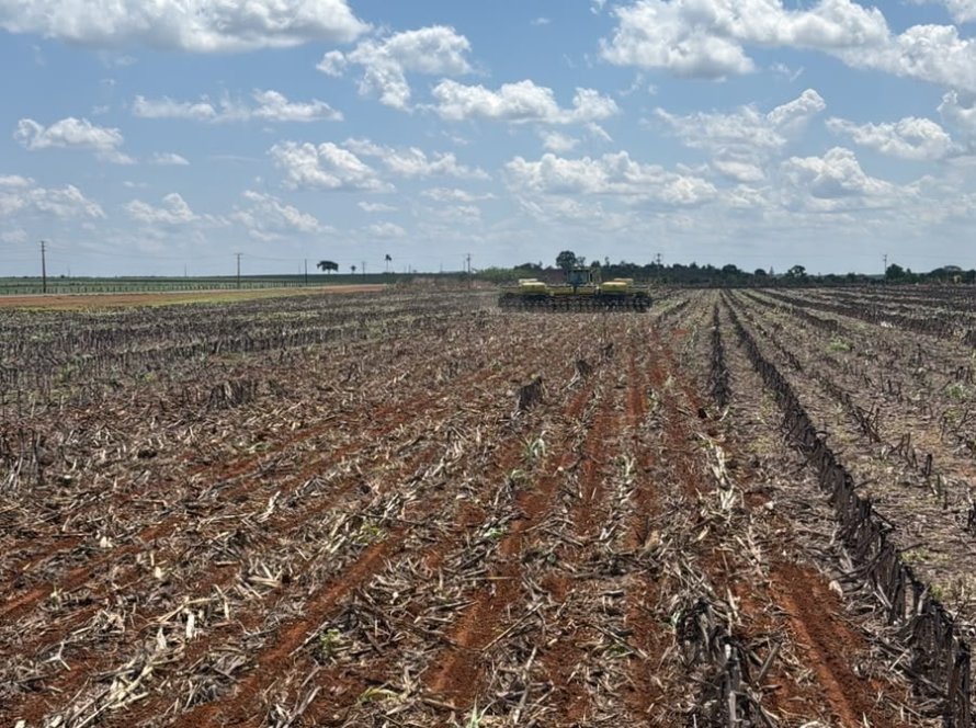 Umidade do solo em Mato Grosso segue abaixo da média histórica e preocupa para o avanço do plantio da soja, aponta EarthDaily